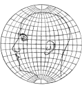 "Globular"