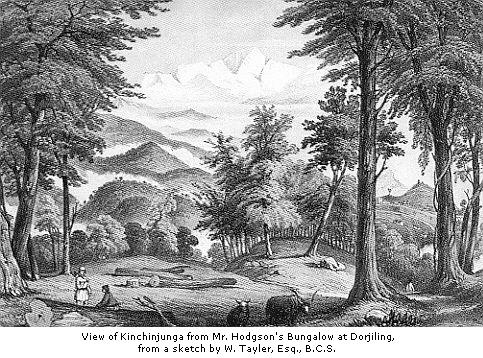 View of Kinchinjunga from Mr. Hodgson&rsquo;s Bungalow at Dorjiling.