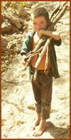 Nicaraguan child farmer
