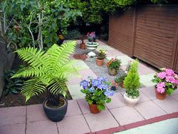 Part of a garden in Bristol, England