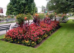 A flower bed in the gardens of Bristol Zoo, England