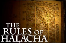 rulesofhalacha230x150.jpg