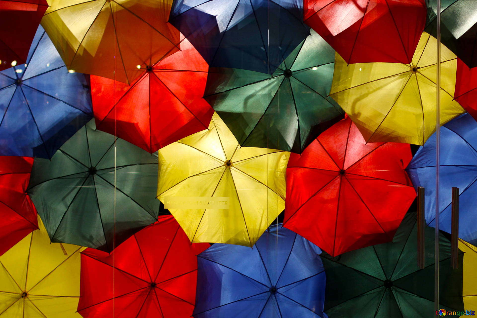 Обои зонтика. Разноцветные зонтики. Разноцветный зонт. Зонтики яркие. Много зонтов.
