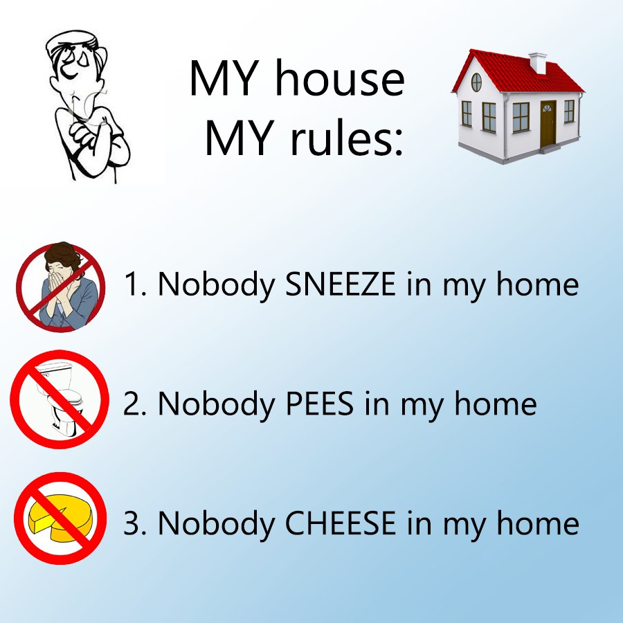 Meme house. Rules in House. Rules in my House. My Home Rules. My House my Rules игра.
