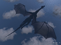 dragonflight.jpg