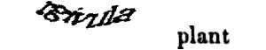 reCAPTCHA challenge image