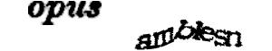 reCAPTCHA challenge image
