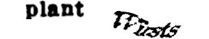 reCAPTCHA challenge image